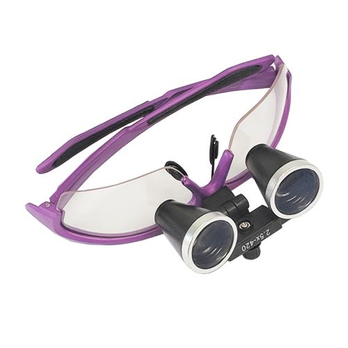 Dental Loupes with carry case, 993800993803 numedical