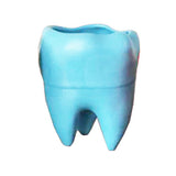 Tooth Pen Holder, 993810, 993811, 993812, 993813 - numedical